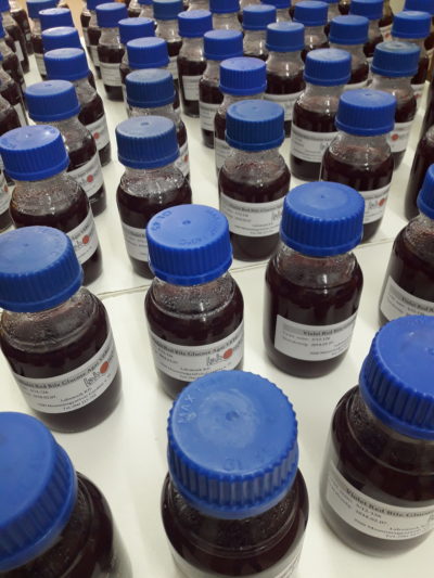 122+# Kristályibolya-neutrálvörös-epe-glükóz (VRBG) agar - Image 2